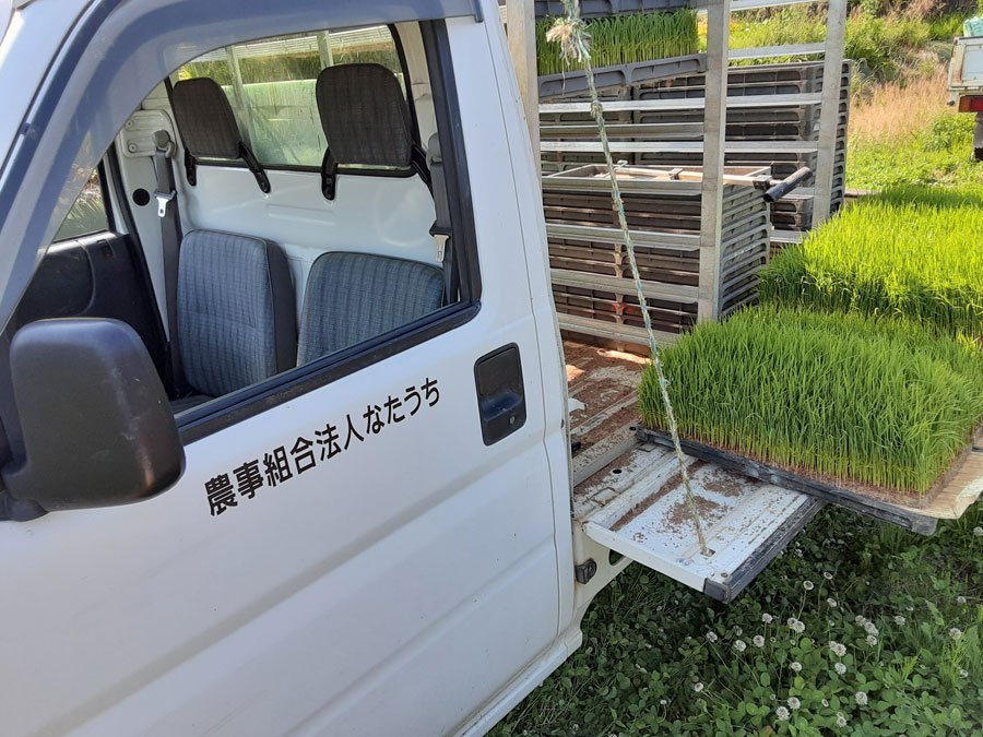 農事組合法人なたうちの農作業用軽トラックと稲の苗（いねのなえ）