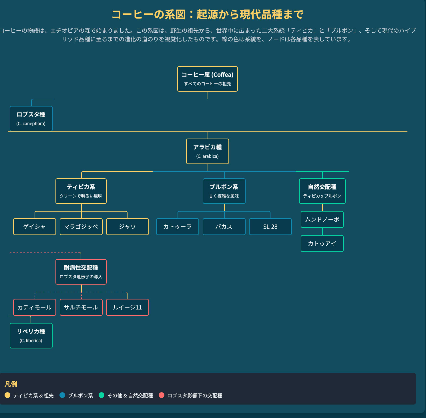 コーヒー豆の品種の系図について