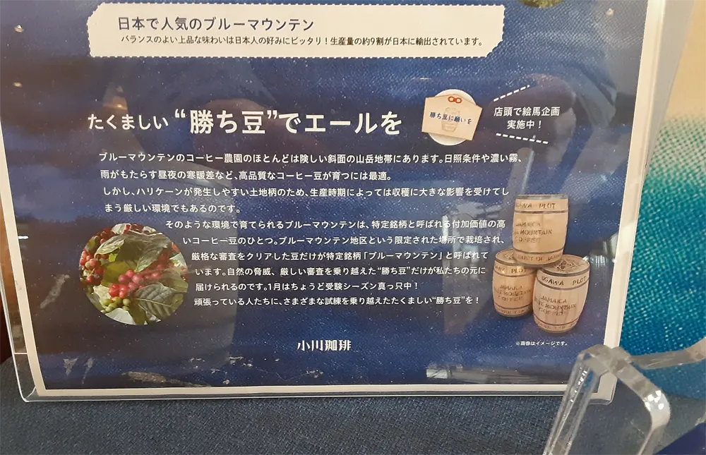 小川珈琲京都本店で購入したブルーマウンテン№1コーヒー豆の解説